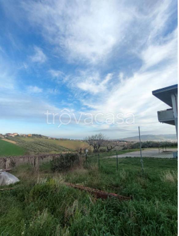 immagine annuncio 8 di 11