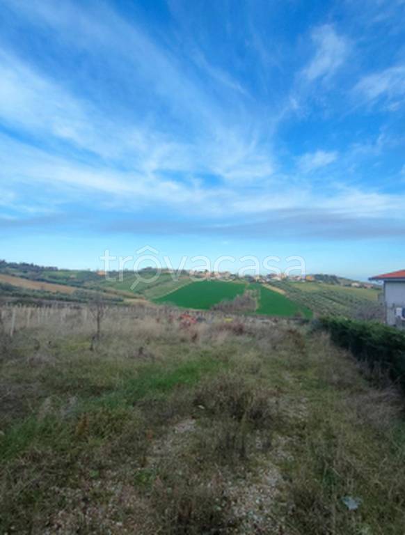 immagine annuncio 9 di 11