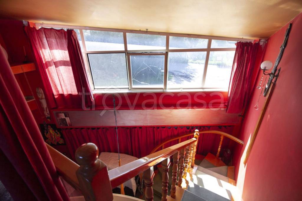 immagine annuncio 11 di 14