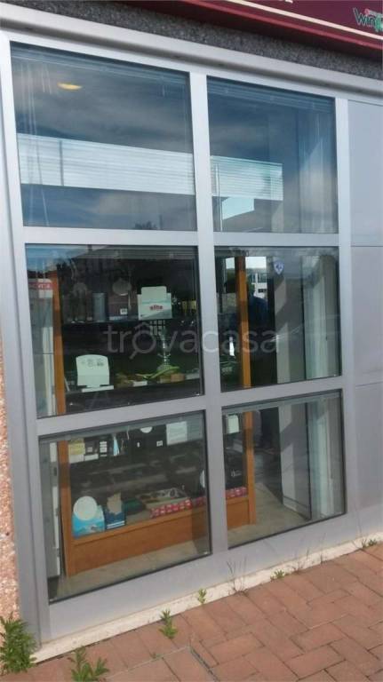 immagine annuncio 4 di 11