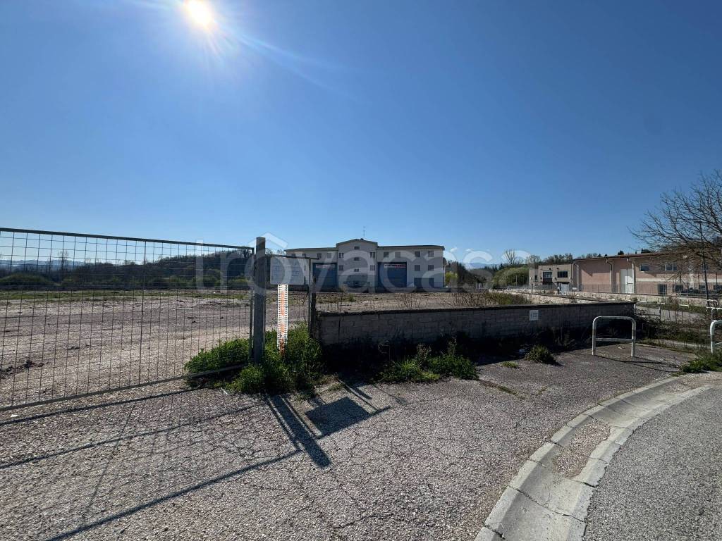 immagine annuncio 11 di 13