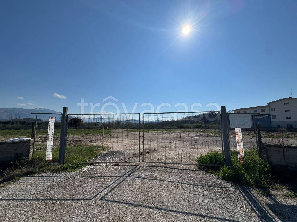 immagine annuncio 12 di 13