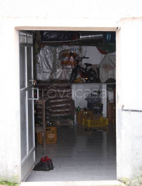 immagine annuncio 6 di 11