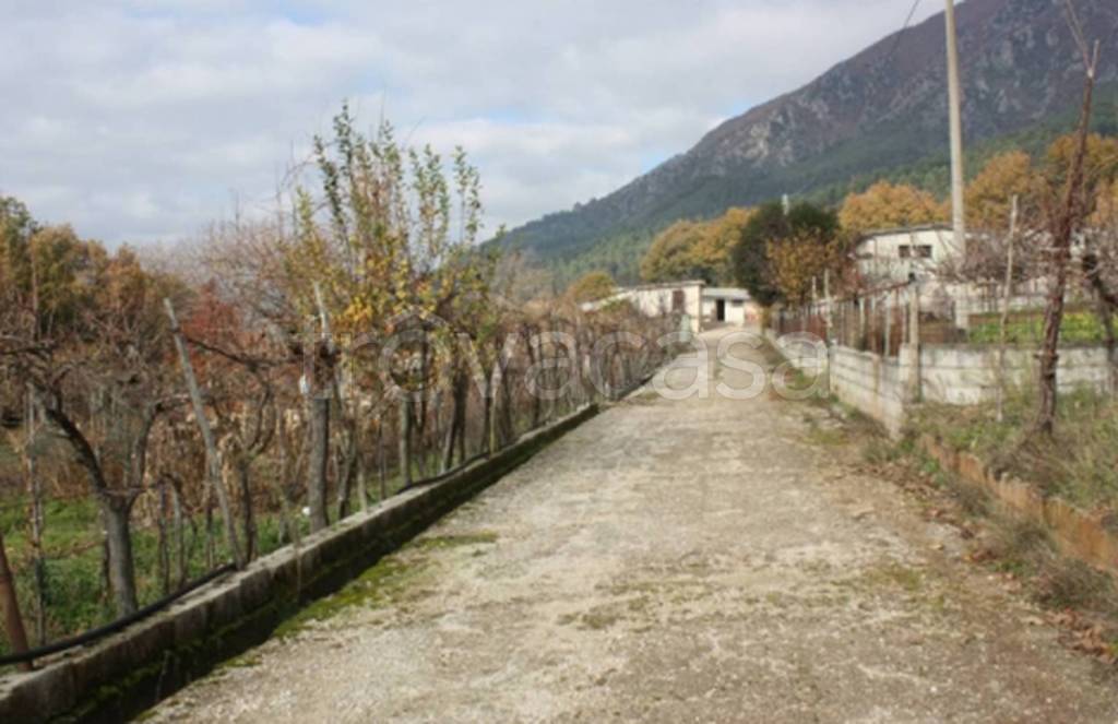 immagine annuncio 9 di 11