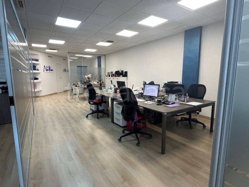 immagine annuncio 7 di 13