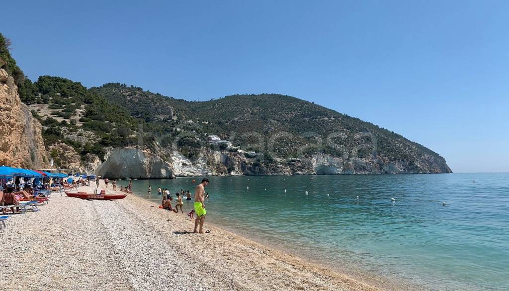 immagine annuncio 5 di 8