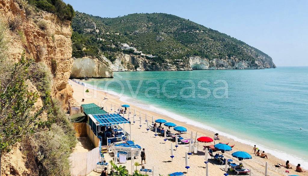 immagine annuncio 6 di 8