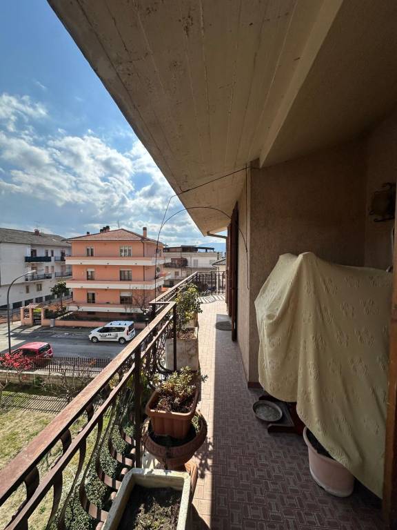 immagine annuncio 12 di 15
