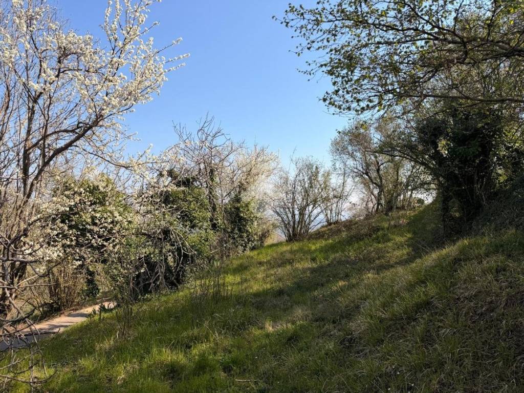 immagine annuncio 6 di 9