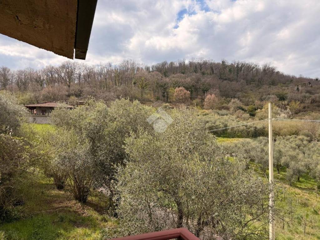 immagine annuncio 7 di 9