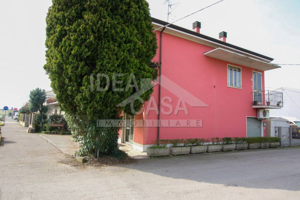 immagine annuncio 11 di 12