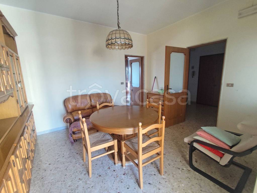 immagine annuncio 7 di 14