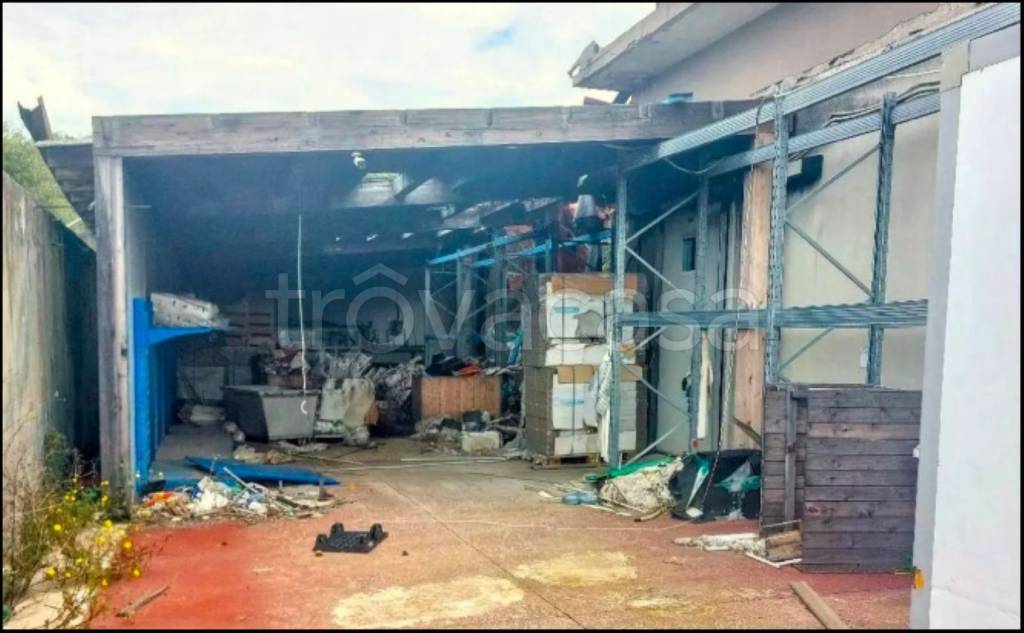 immagine annuncio 5 di 11