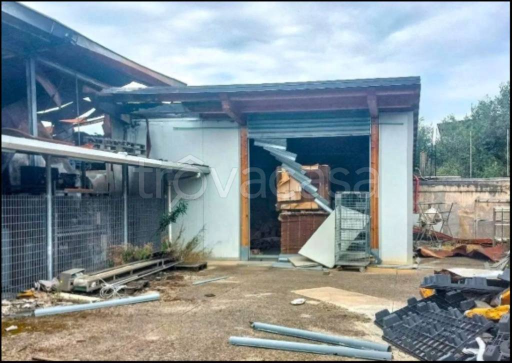 immagine annuncio 6 di 11