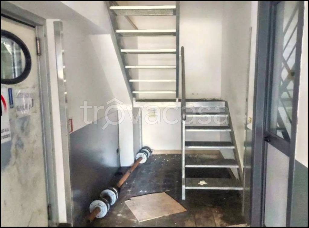 immagine annuncio 7 di 11