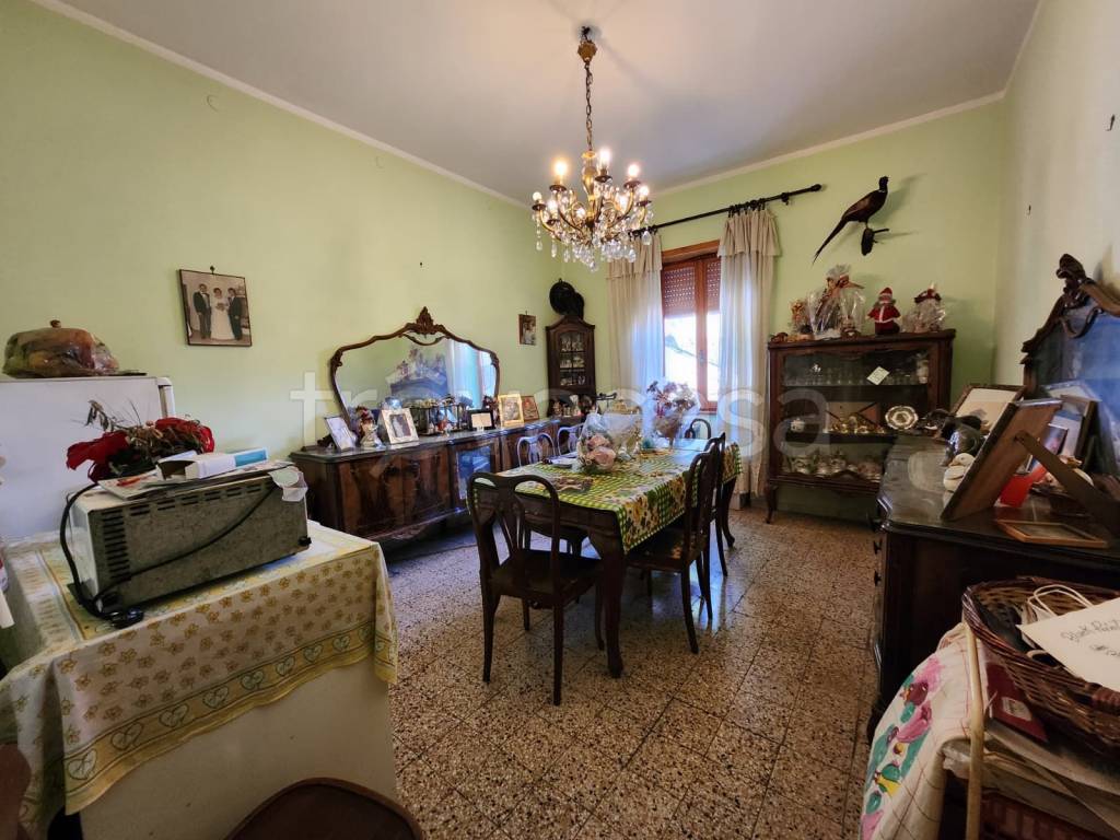 immagine annuncio 5 di 14