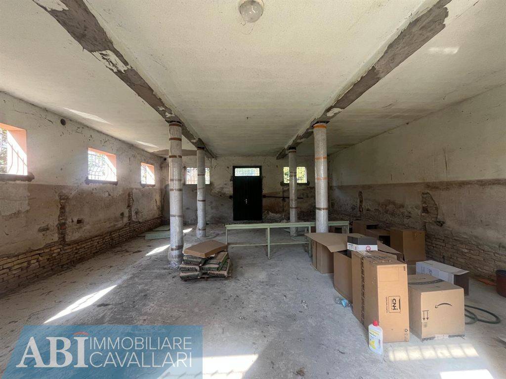 immagine annuncio 5 di 12