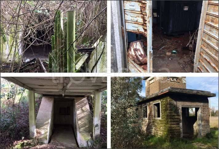 immagine annuncio 2 di 4