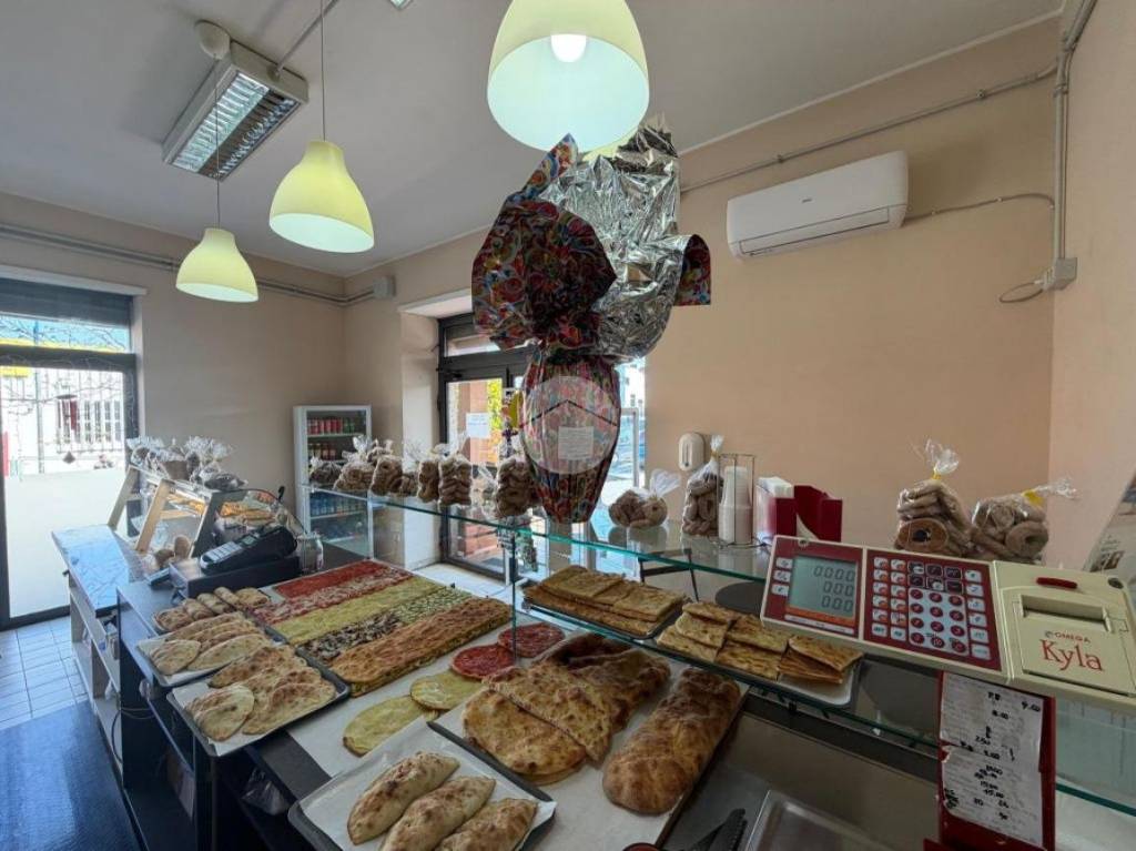 immagine annuncio 12 di 15