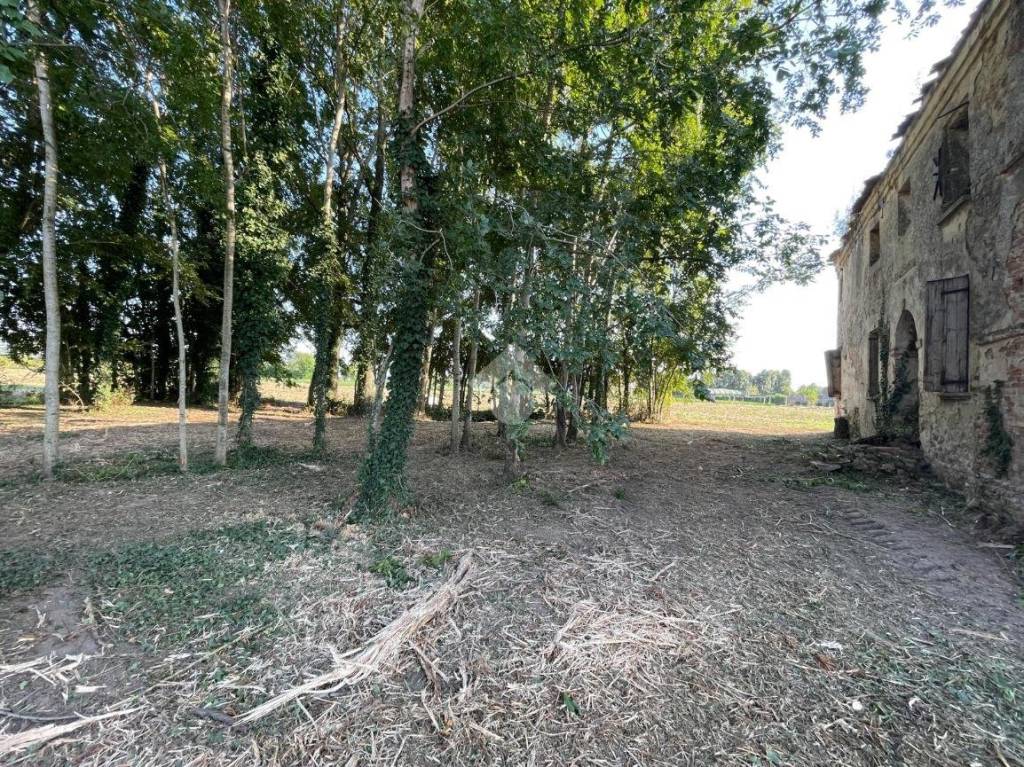 immagine annuncio 4 di 12