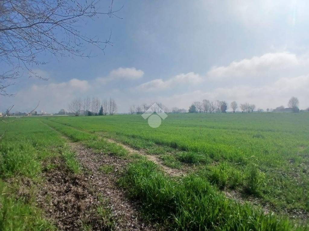 immagine annuncio 5 di 12