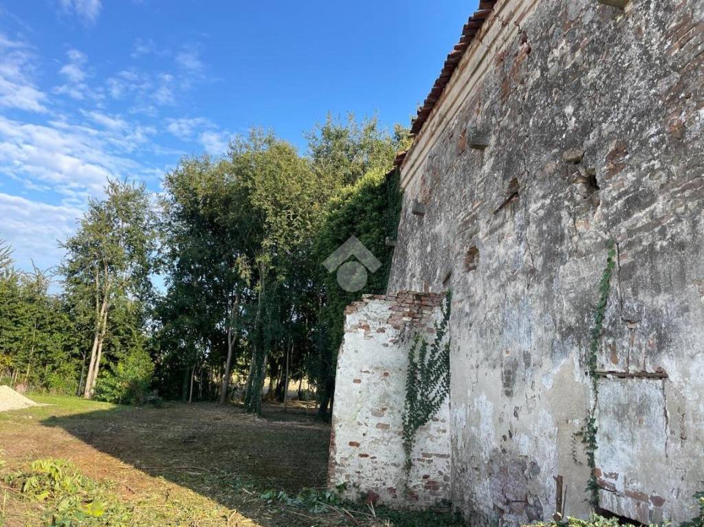 immagine annuncio 6 di 12