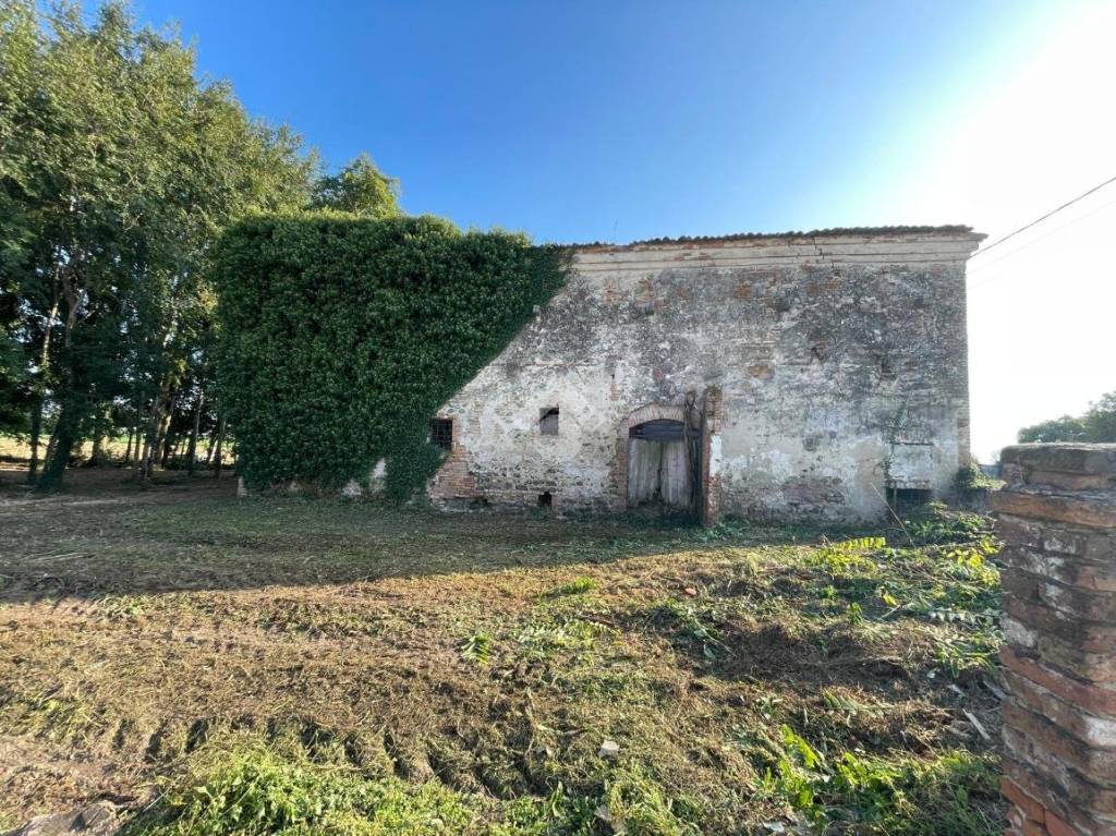 immagine annuncio 7 di 12