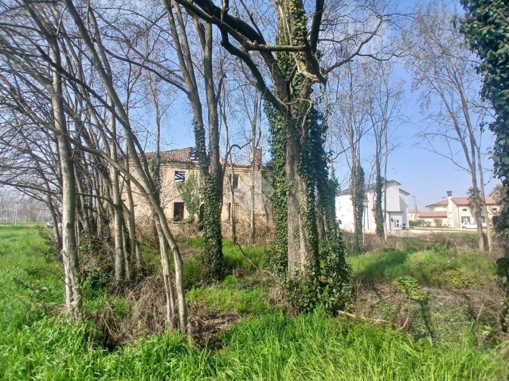 immagine annuncio 8 di 12