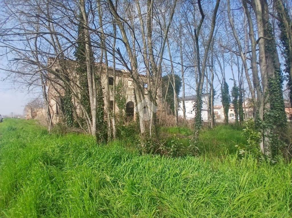 immagine annuncio 9 di 12