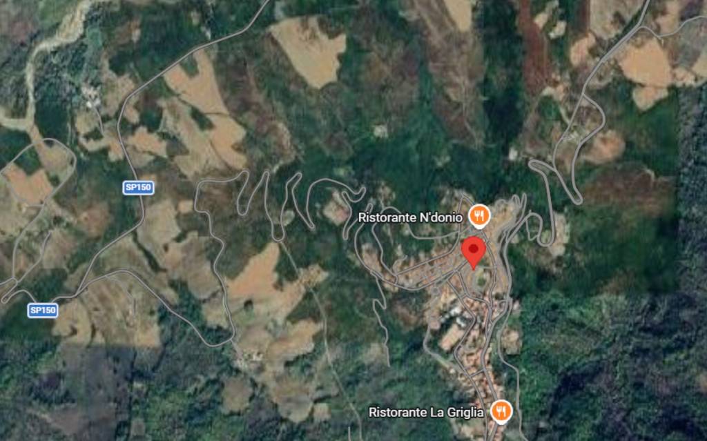 immagine annuncio 6 di 12