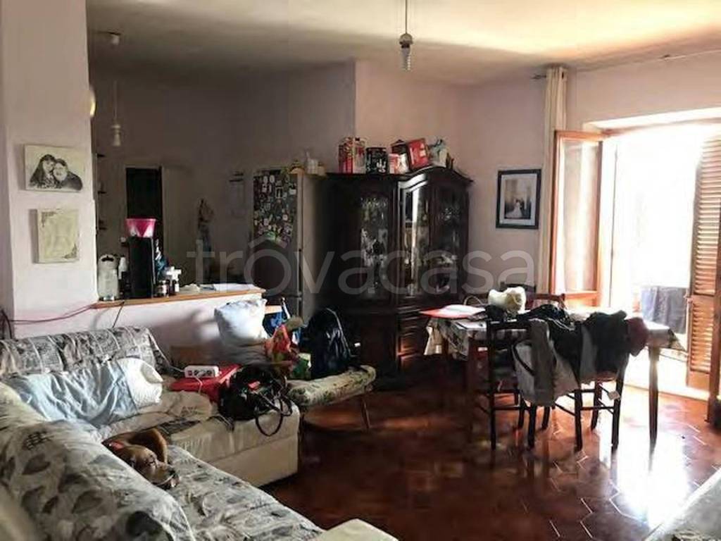 immagine annuncio 5 di 14