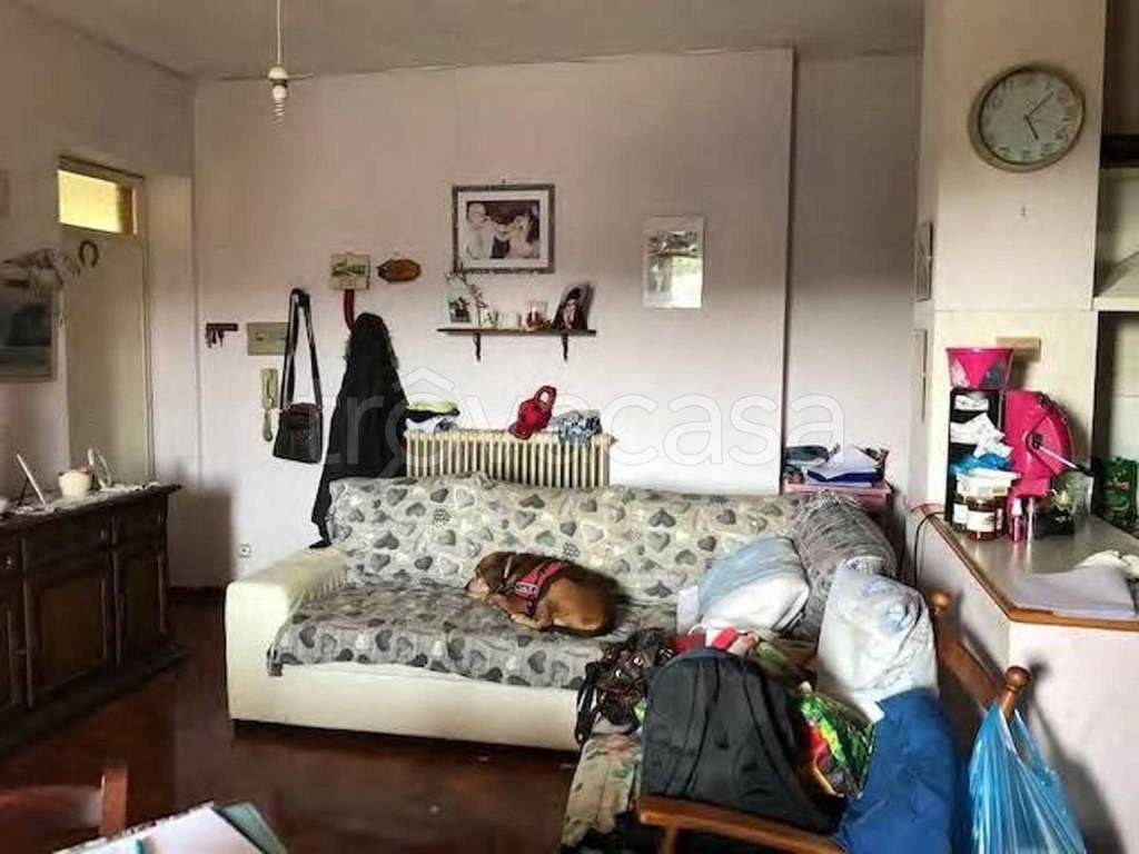 immagine annuncio 4 di 14