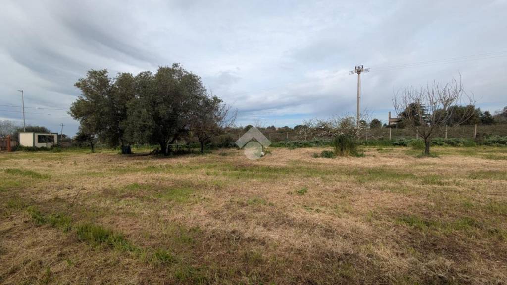 immagine annuncio 1 di 9