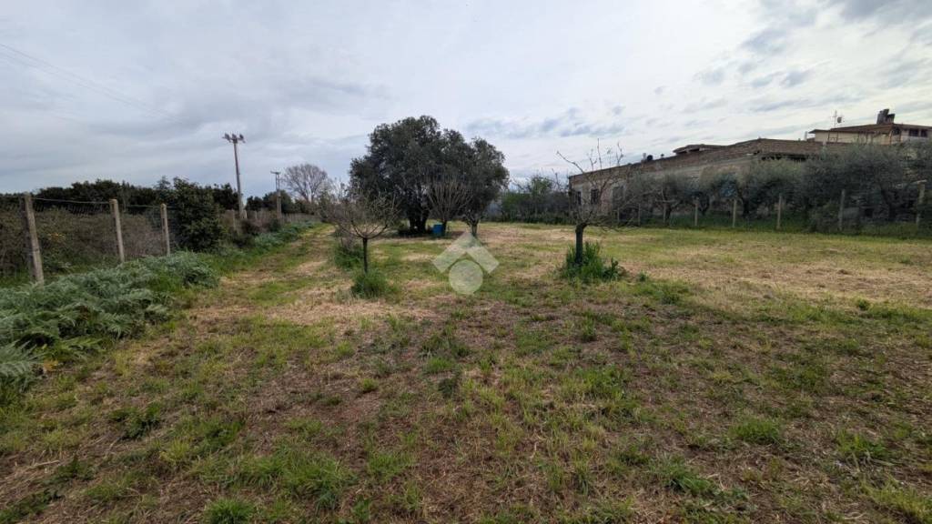 immagine annuncio 4 di 9