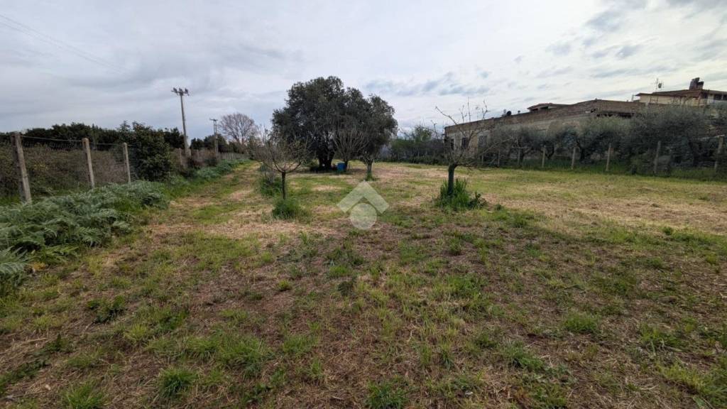 immagine annuncio 5 di 9