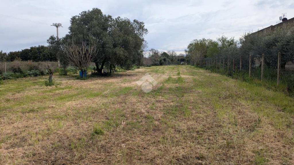 immagine annuncio 8 di 9