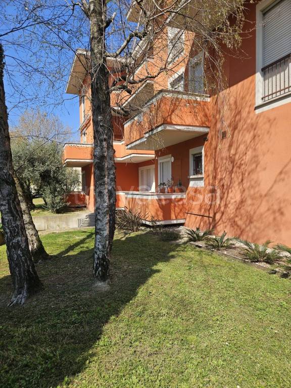 immagine annuncio 6 di 13