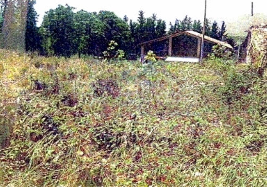 immagine annuncio 4 di 8