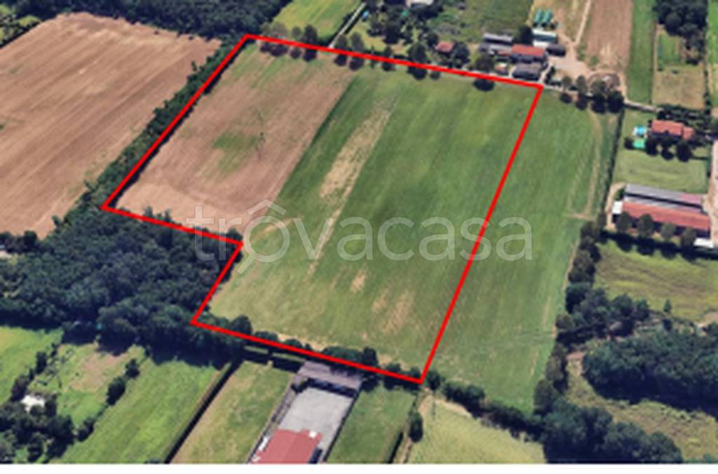 immagine annuncio 3 di 11