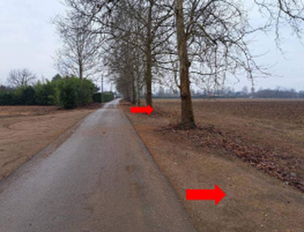 immagine annuncio 5 di 11