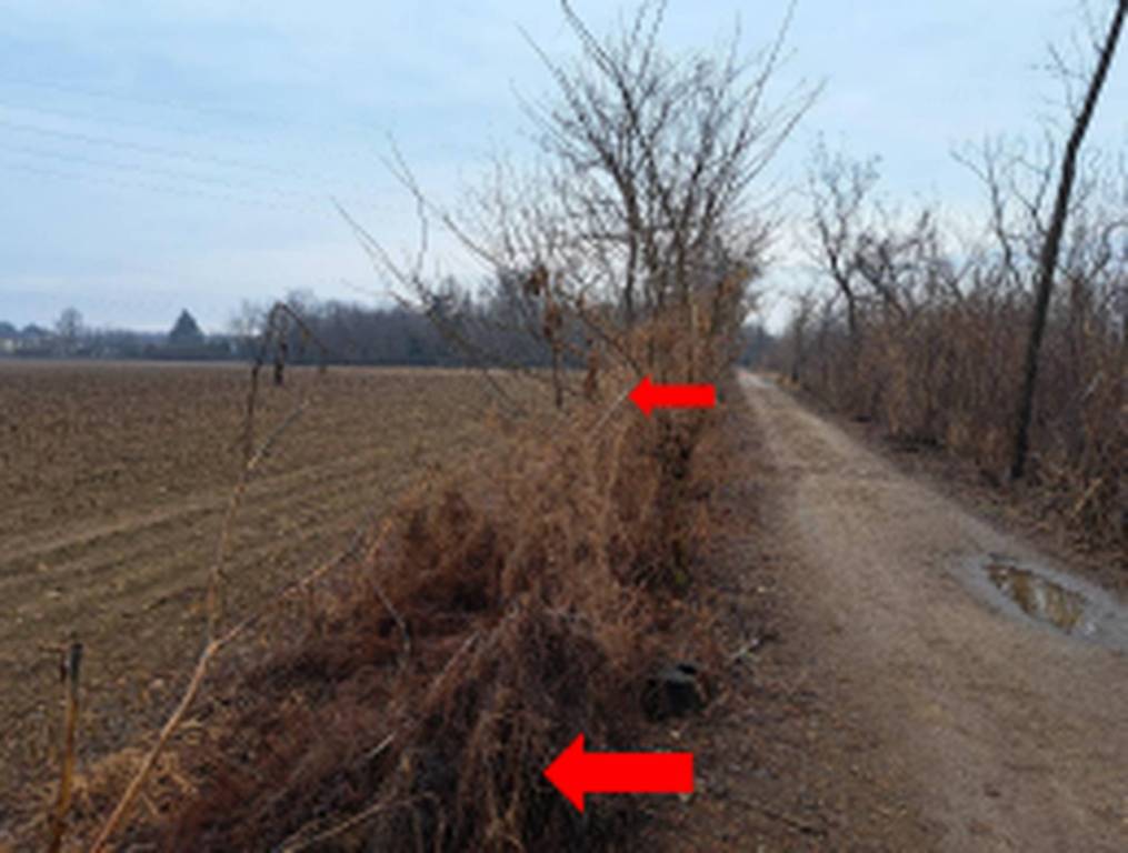 immagine annuncio 7 di 11