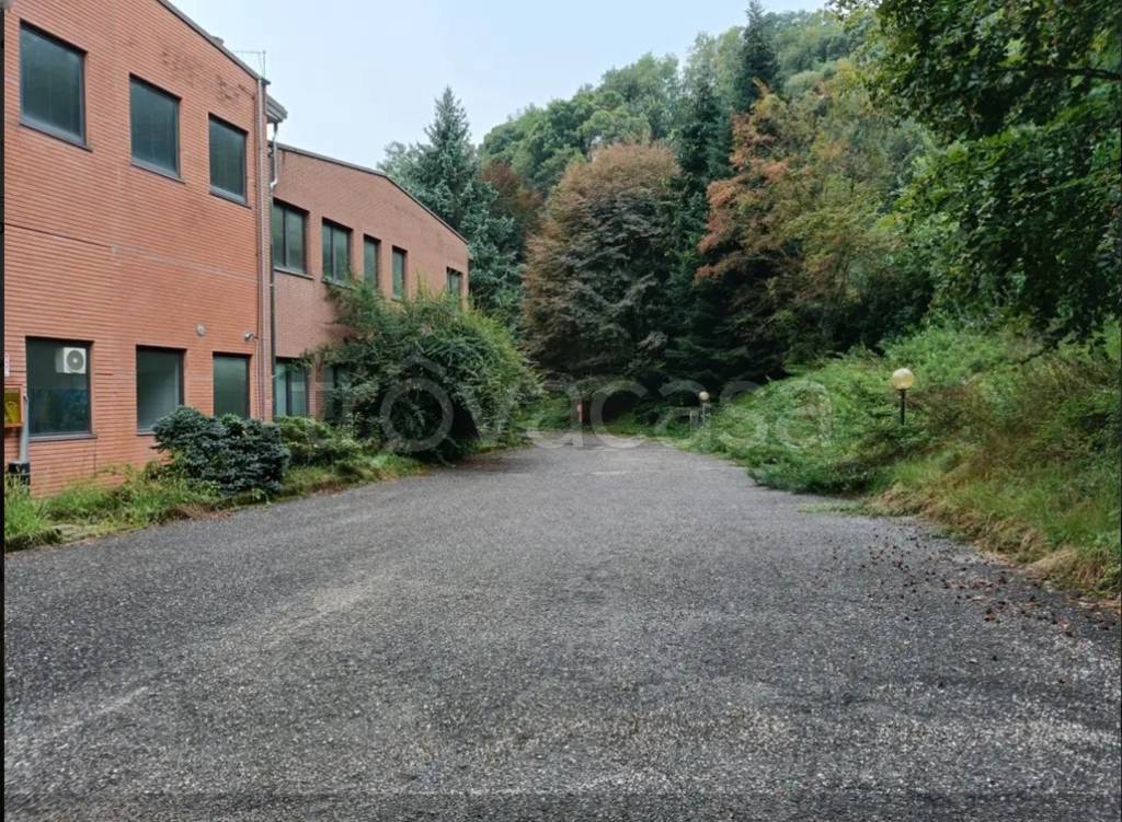 immagine annuncio 2 di 8