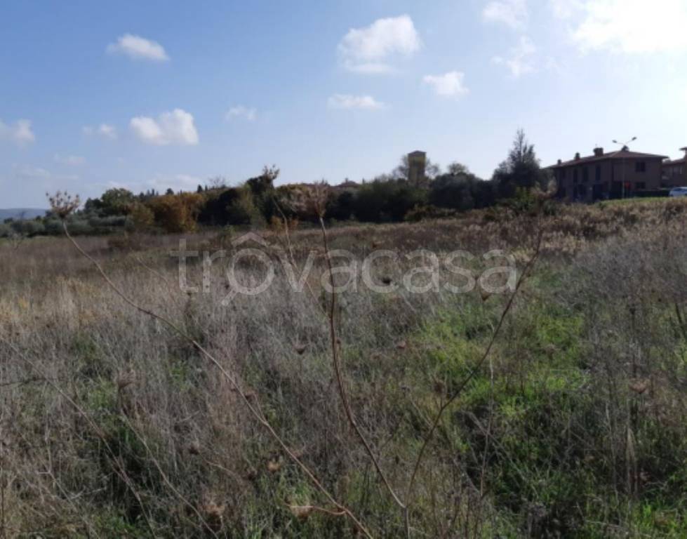 immagine annuncio 4 di 12