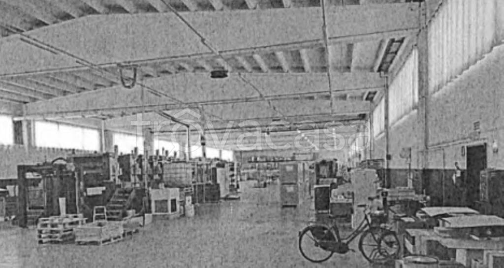 immagine annuncio 7 di 14