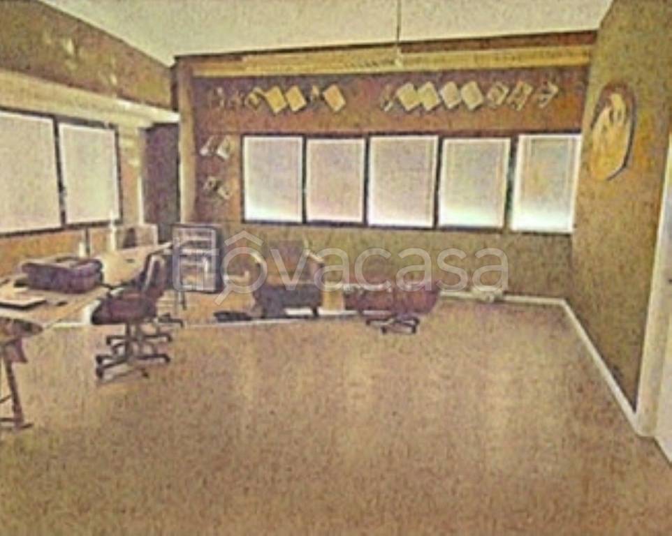 immagine annuncio 12 di 14