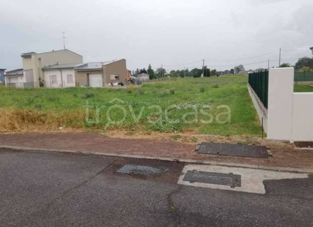 immagine annuncio 2 di 7