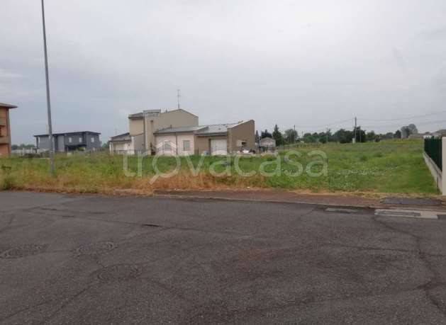 immagine annuncio 3 di 7