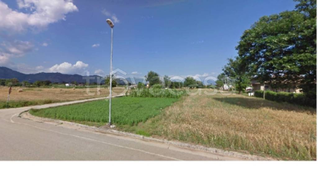 immagine annuncio 5 di 12