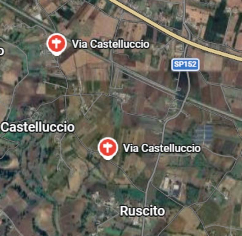 immagine annuncio 11 di 12