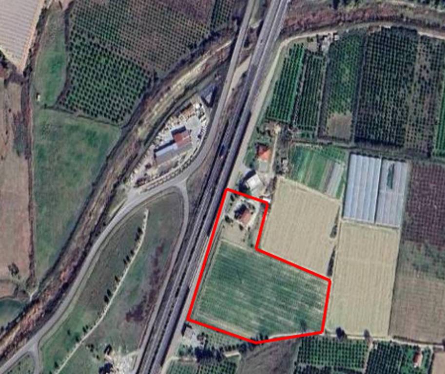 immagine annuncio 1 di 11